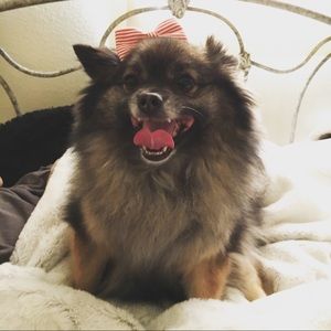 Meet your Posher, Khanh trinh